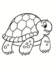 dibujos-de-Tortugas-para-colorear